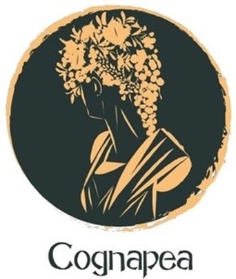 logo marque NEWRHONE_Novagraaf