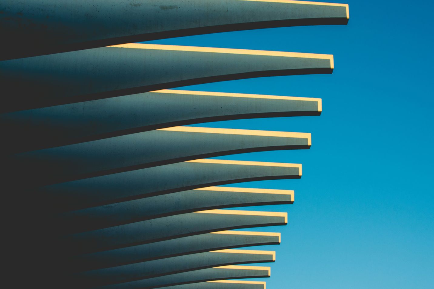 Vooraanstaand merkengemachtigde Helma van de Langenberg aangekondigd als Managing Director van Novagraaf Nederland