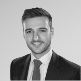 Image for Alban Radivojevic