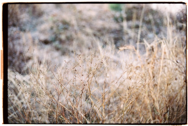 Accompagnement stratégique pour le développement de votre marque
