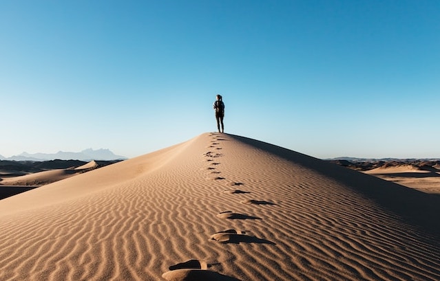 [Webinar] Failure to launch? Designing a brand development strategy that overcomes legal and commercial risks