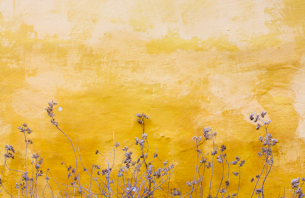 Watch our webinar on global trademark management