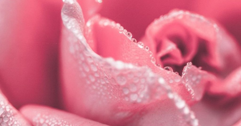 Une précieuse decision