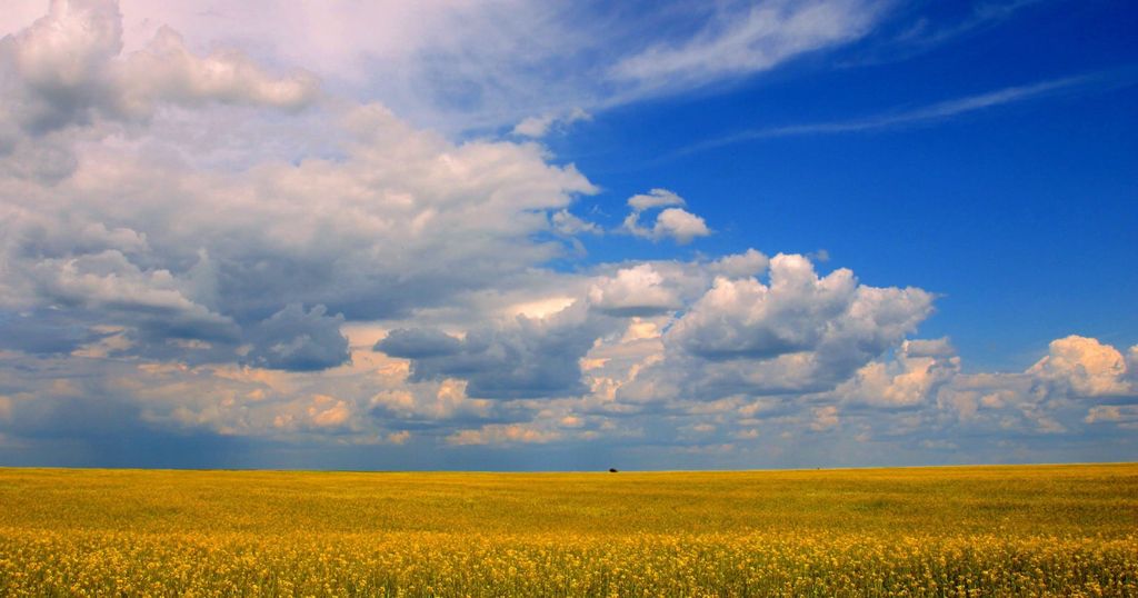 Embracing the changes to the IP landscape in 2024