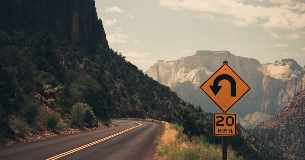 Trademark grace periods and proof of use