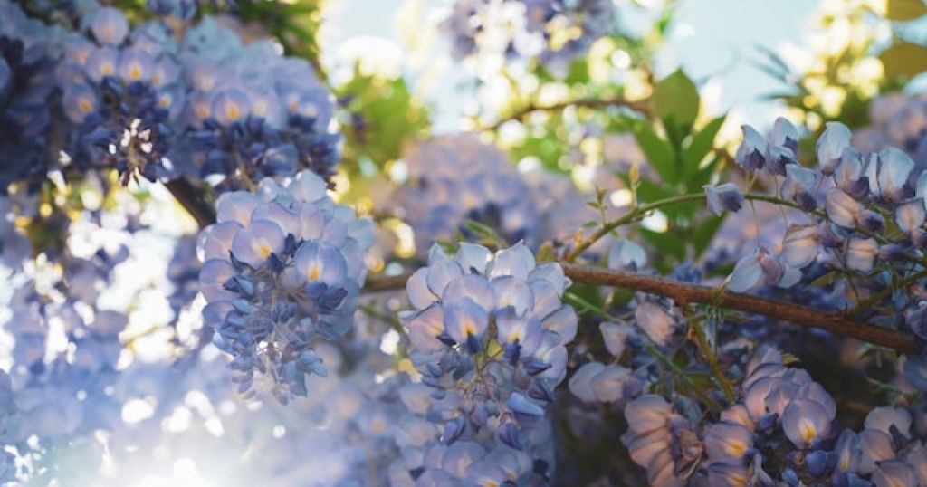 Trademark analysis: A breath of fresh air for your intellectual property portfolio this season