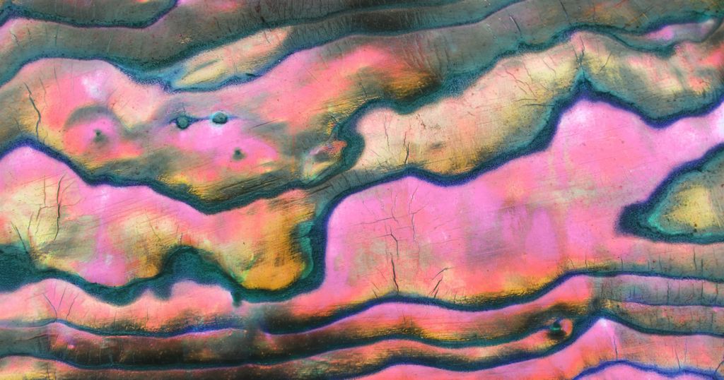 Décision J1/24 : Nouveau cadre pour les demandes divisionnaires européennes