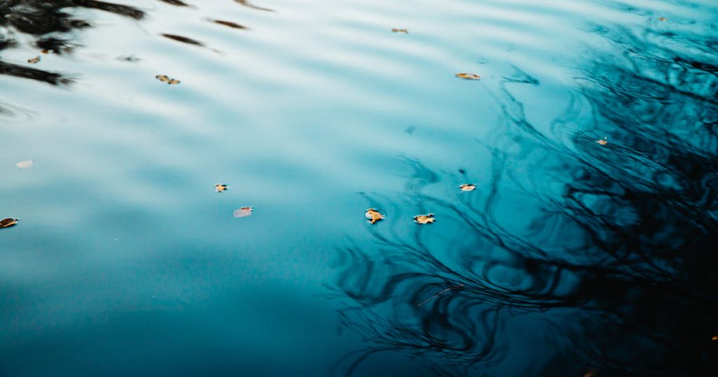 Certificat Complémentaire de Protection (CCP) : définition de la « première » AMM