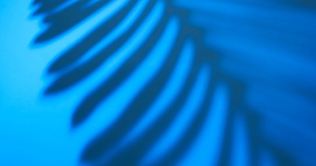 Het Neutraliteitsbeginsel: Hoe naamsbekendheid ook een valkuil kan zijn in het merkenrecht