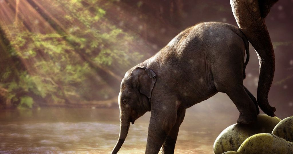 Création de site web : les bons réflexes