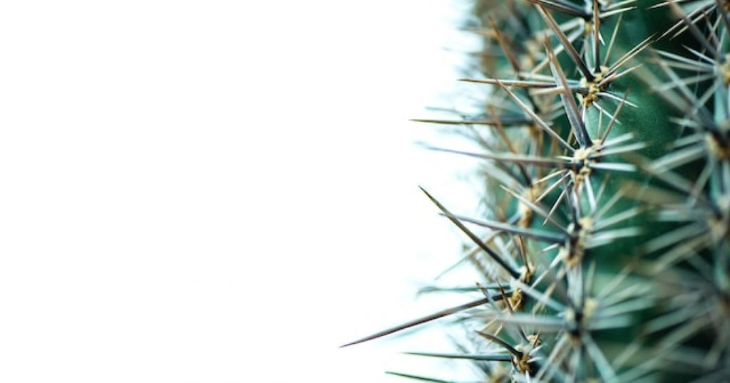 [UPC News] Protective letters: Have you protected your back?