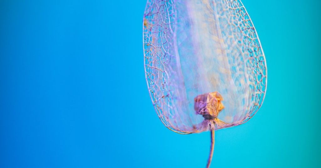 IP and R&D: Should you search before research?