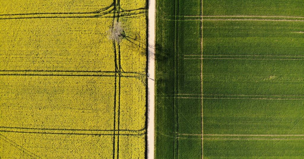 Wetgeving inzake inbreuk op merken: verschillende definities van indirecte verwarring in de EU en het VK