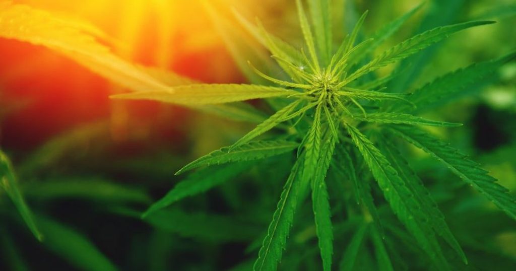 Ordre public : l’herbe n’est pas toujours plus verte ailleurs…