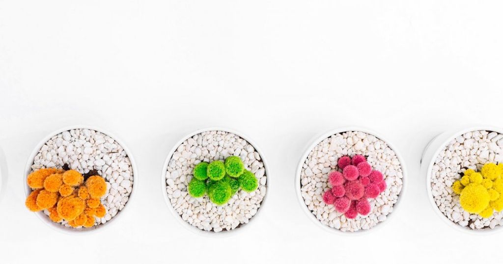 How to create a trademark strategy for sub-brands