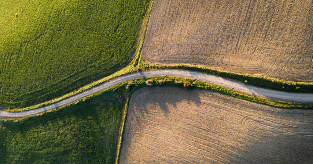 Hoe voorkom je dat je merk een werkwoord of soortnaam wordt?