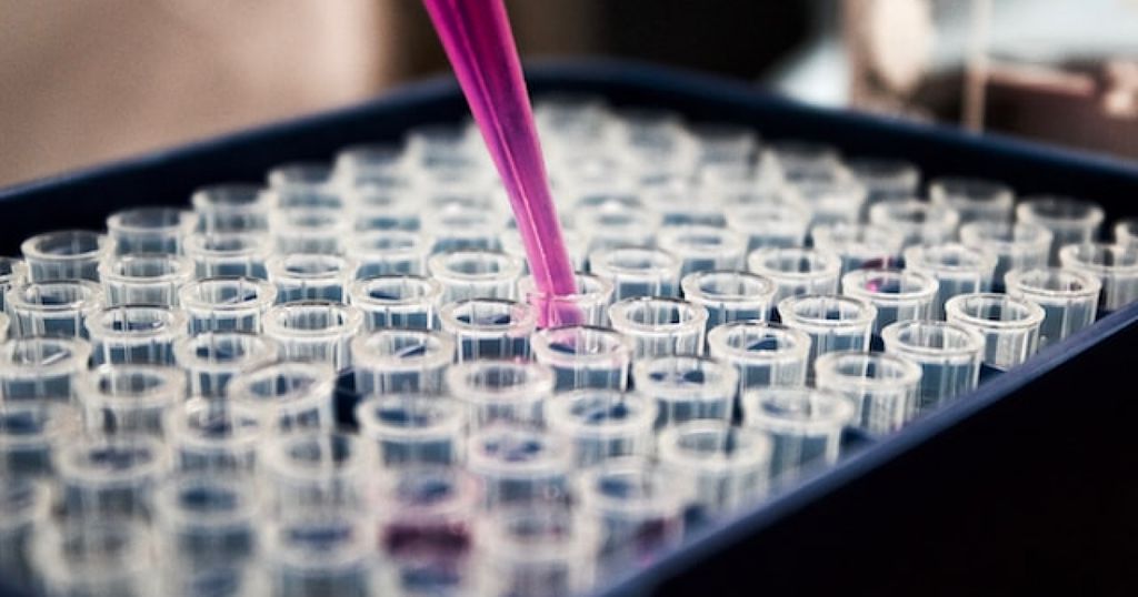 Supplementary protection certificates and basic patents