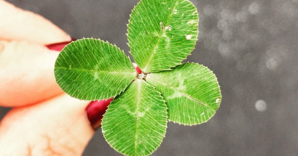 Het jaar goed begonnen