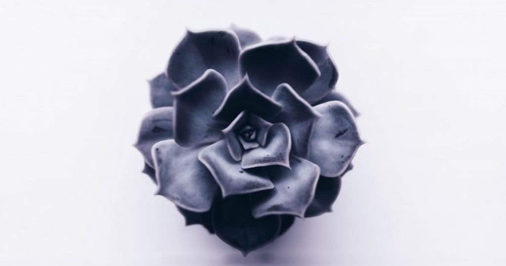 Modelrecht doorboord