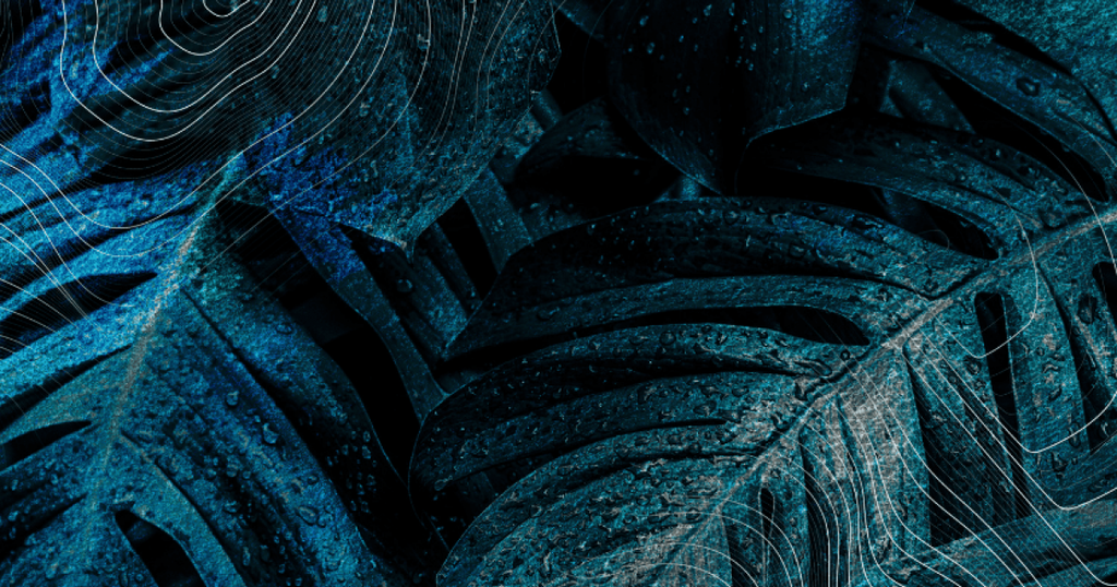 Van bergkaas tot streekbrood: Hoe bescherm je geografische oorsprongsproducten?