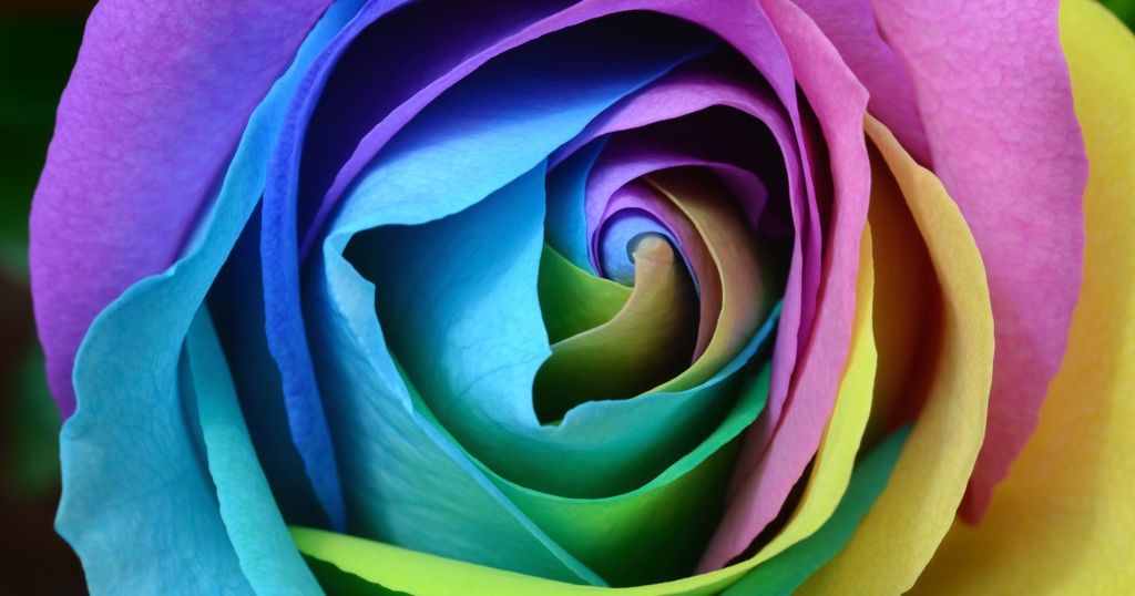 Nine West in de clinch met Nina West