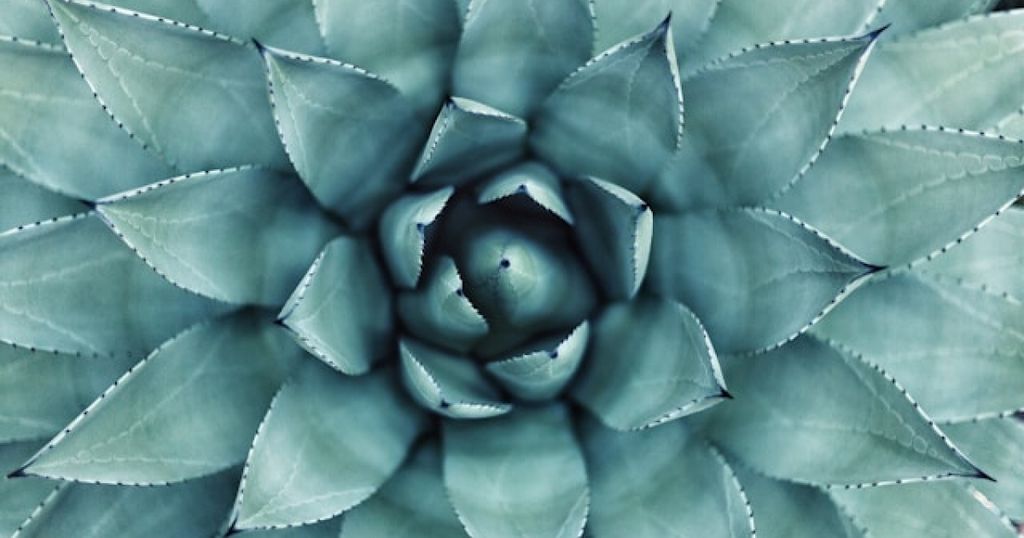 Conscious acquiescence: The dangers of ignoring trademark infringement