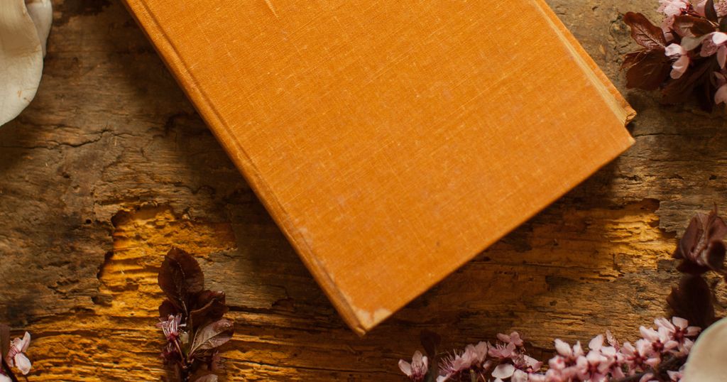 Inscriptions abusives dans l'Orange book