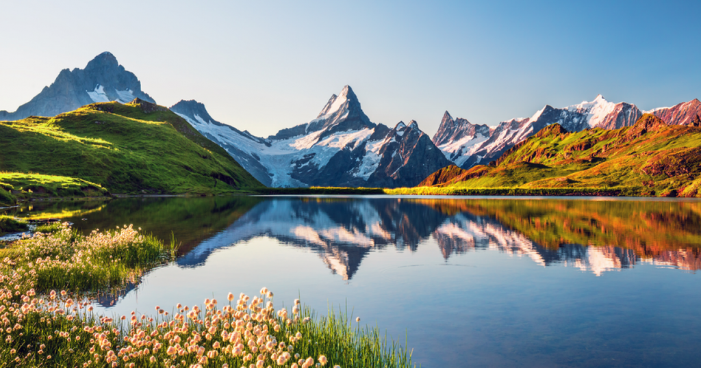 Projet de Révision de la loi Suisse sur les brevets