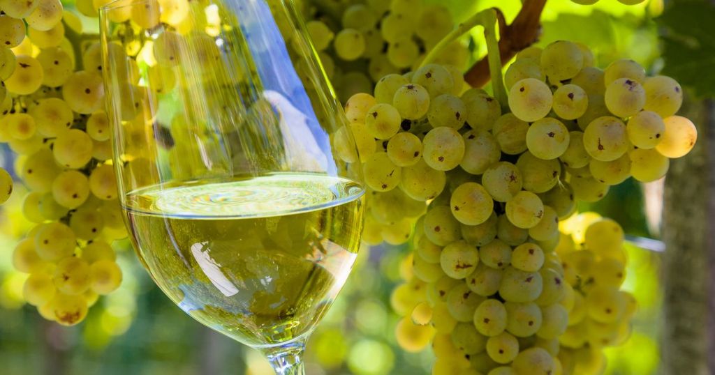 Point sur l'actualité des nouvelles extensions dans le domaine viticole