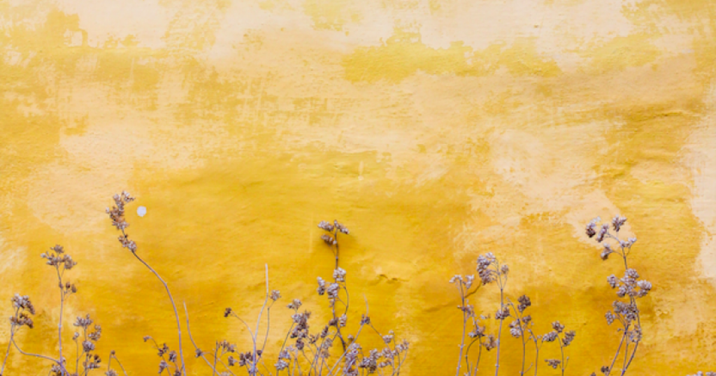 Trademark portfolio management in a crisis