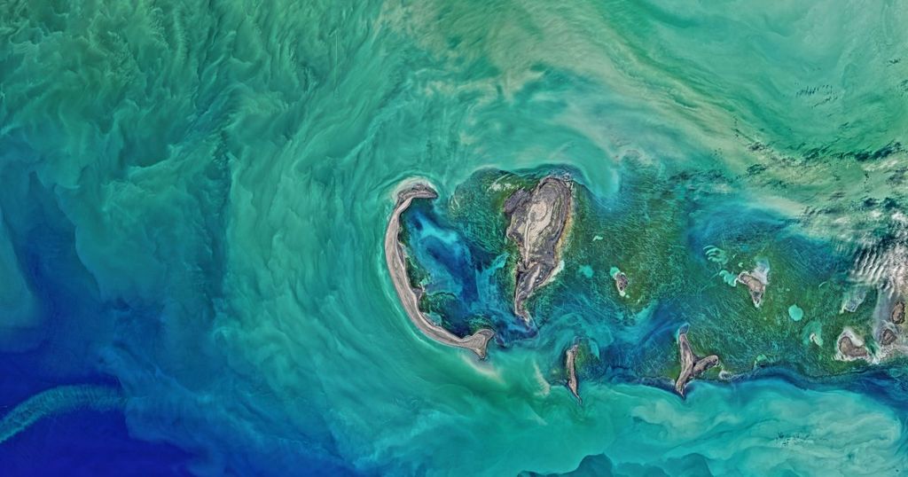 Naam nieuw Alkmaars restaurant geen lang leven beschoren