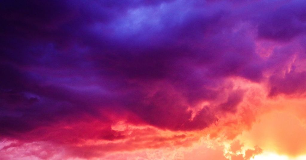 Erven Prince willen merkaanvraag Purple Rain verhinderen