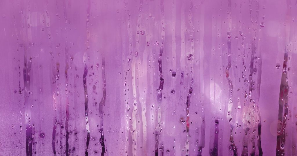 De erven van de overleden popartiest Prince treden op tegen de makers van wijn onder de naam Purple Rain wegens merkinbreuk.