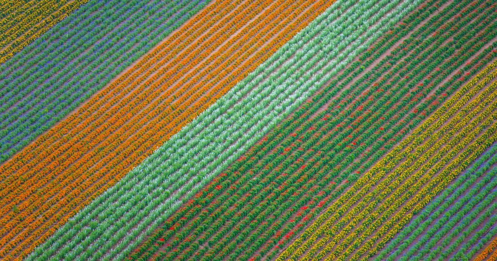 Les enjeux du choix d'une marque intégrant une indication géographique