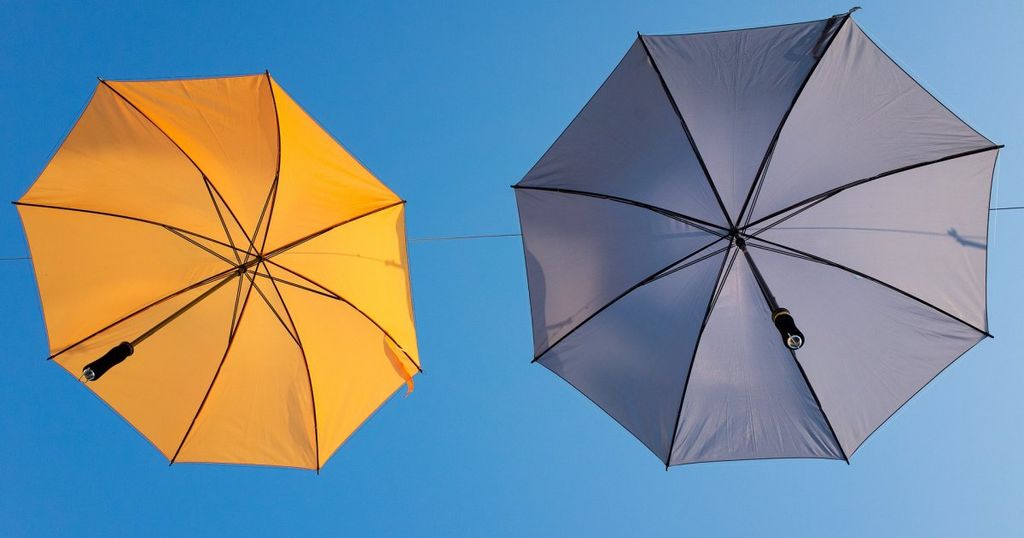 La double protection par brevet