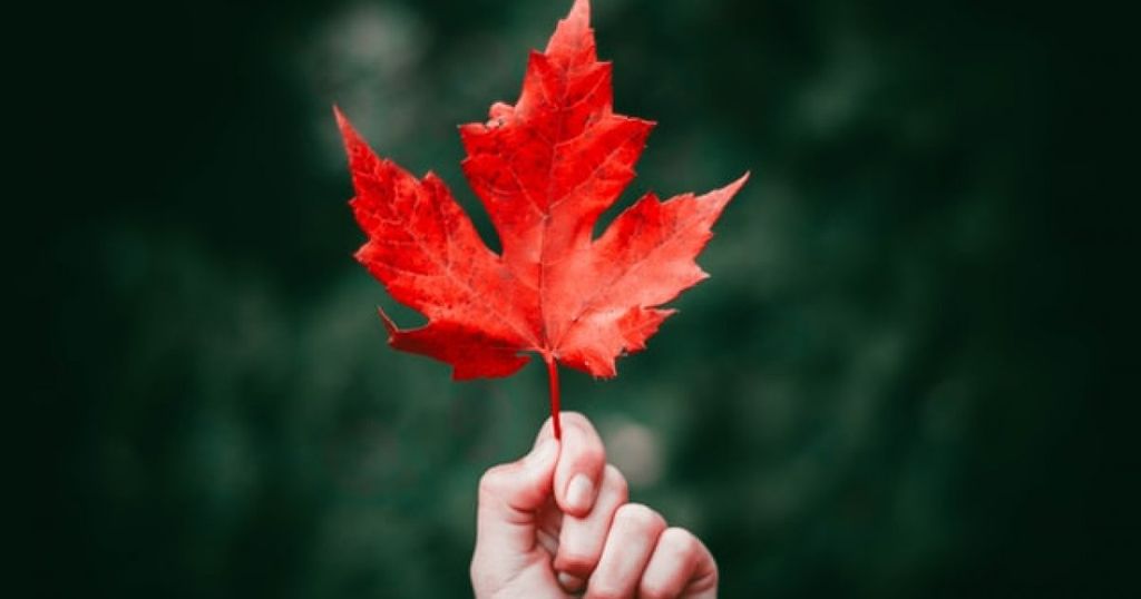 Non-French trademarks in Quebec: Restricting the use of foreign-language trademarks in Canada