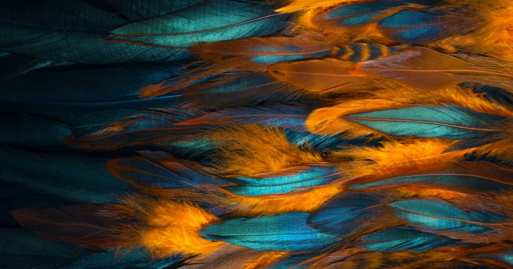 Wie is de echte Boss? De strijd tussen Boss Pets en Hugo Bos