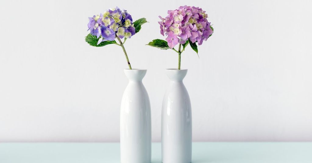 Zoek de verschillen: het totaalindrukkencriterium in het auteursrecht