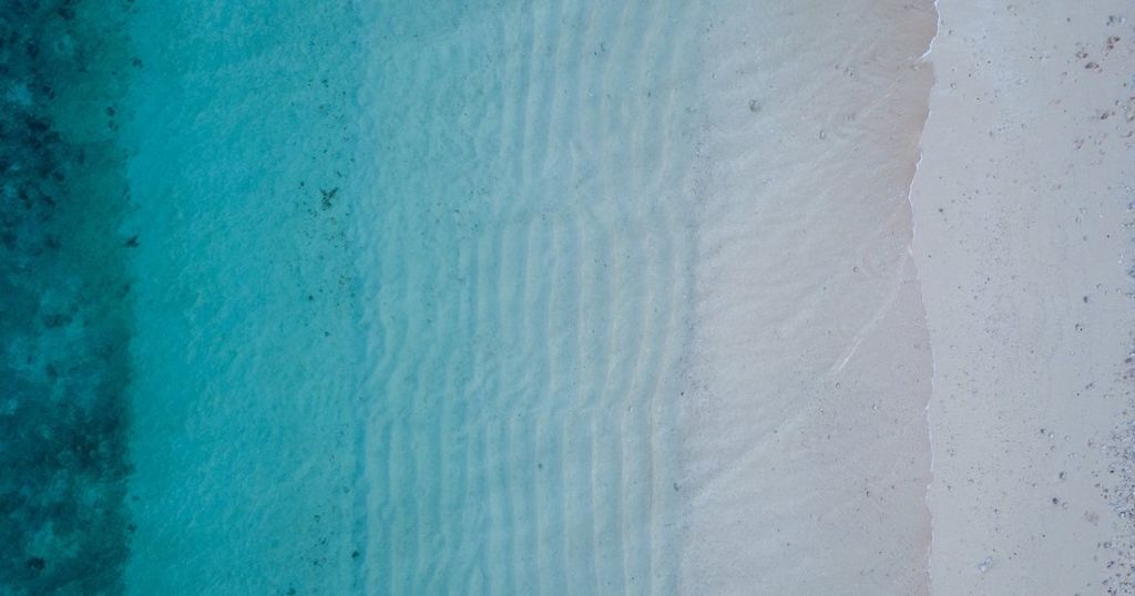 Maximising IP value: A short guide for finance professionals