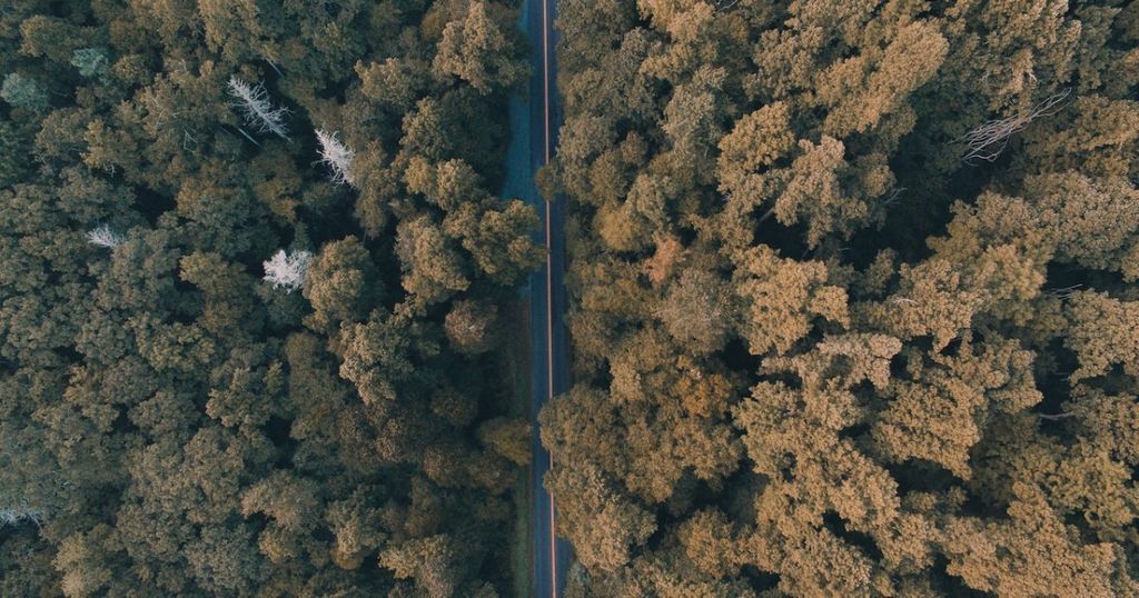 Update from the EPO: Getting your European priorities (even) straighter