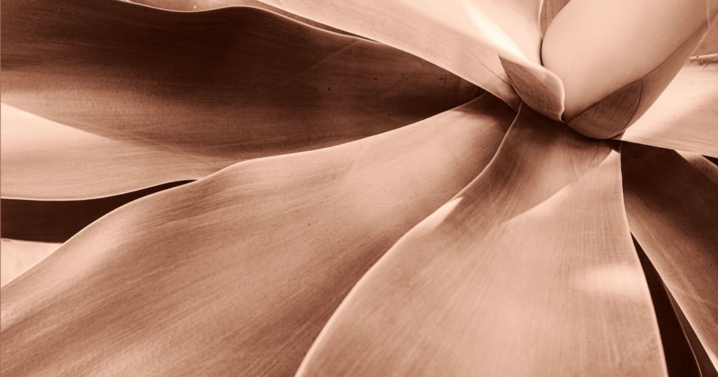 Décision G1/24 – Interprétation des revendications