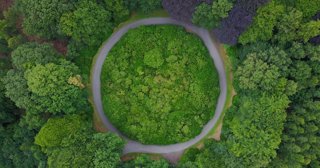 Affaire Eli Lilly contre Fresenius