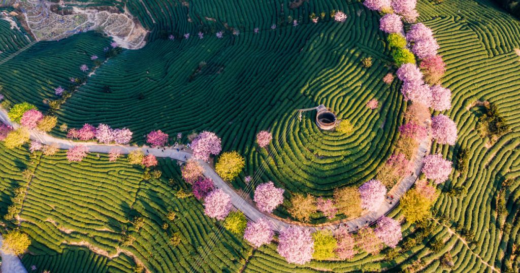 Patents in China: An update