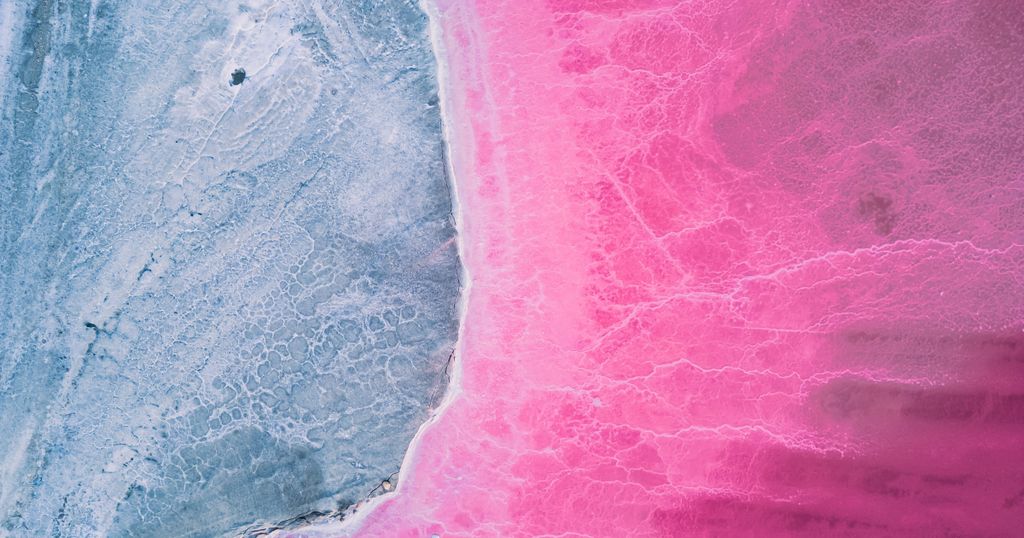 De l’IGP à l’AOP, tempête sur les vins de Camargue