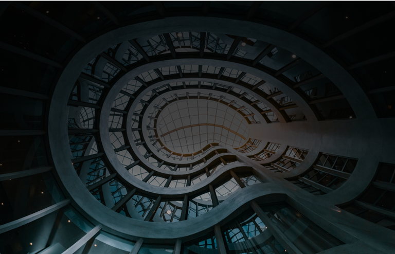 IP Portfolio Services 