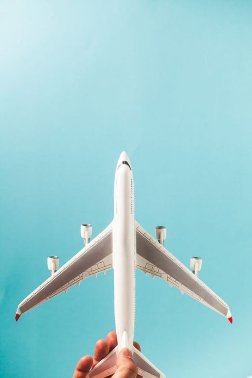 Service de surveillance douanière 