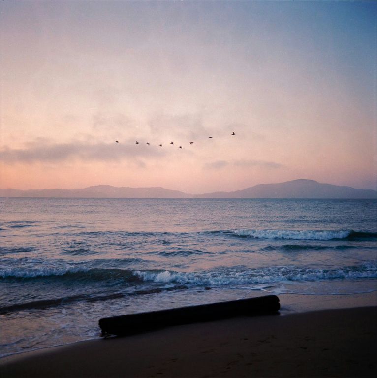 Patent services, sea skyline