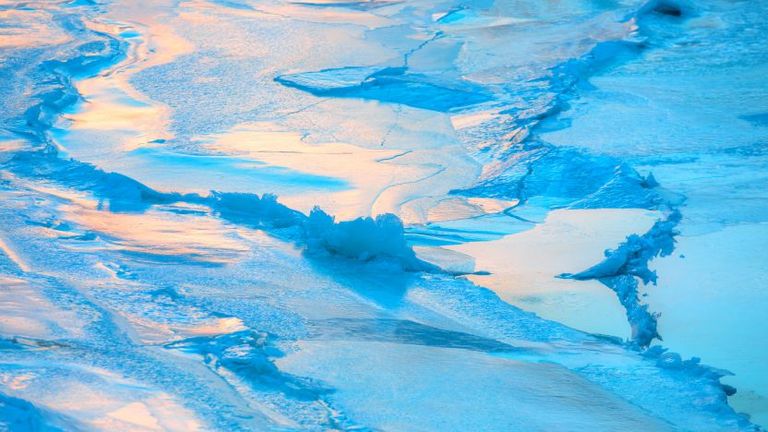 Trademark management strategy, blue colour