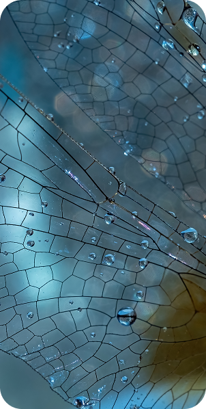 Vernieuwingen en registerwijzigingen