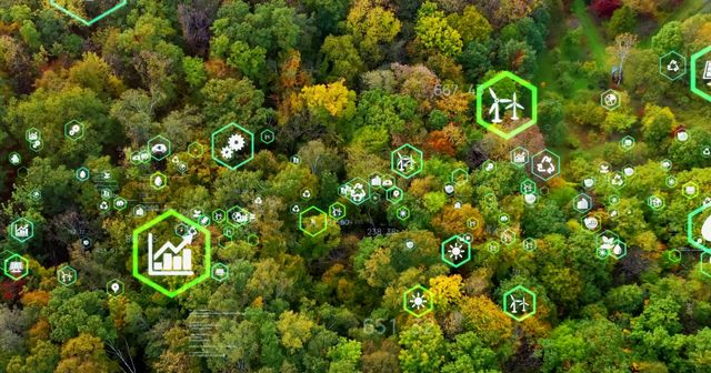 Green technology innovations: Patents and the ecological transition